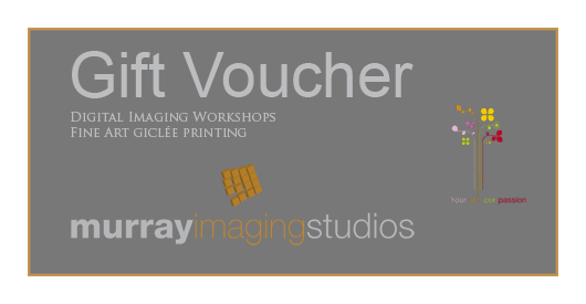 Photography Workshop Gift Voucher